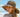 Model Kooringal - Dahlia Floppy Hat Brown