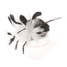 Something Special - Black and White Feather and Lace Fascinator