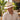 Bigalli_Hats_Grade_3_Australian_Outback_Panama_Hat_Hats_Unlimited_H1207_Natural___Lifestyle-Man.